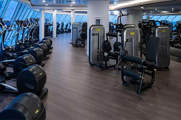 Celebrity Silhouette Gallery Image
